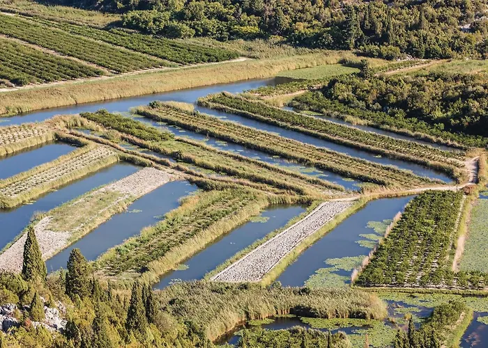 1 Bedroom Amazing In