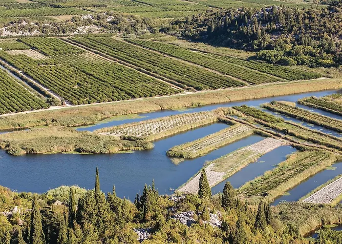 1 Bedroom Amazing In *